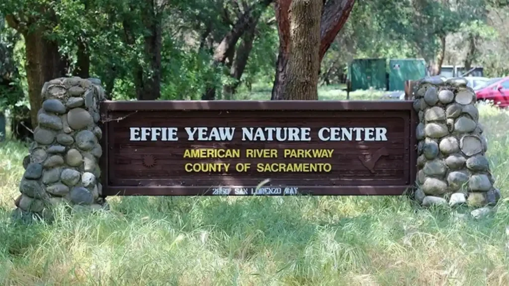 Effie Year Nature Center