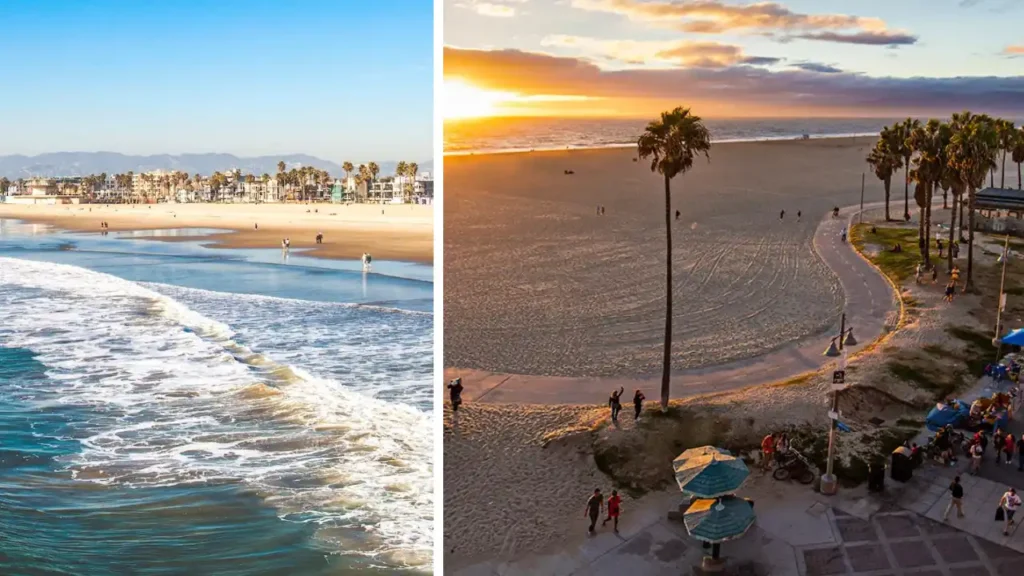 Experience Venice Beach Boardwalk Like a True Local