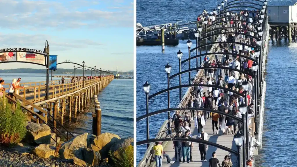 Free Summer Concerts at the Pier