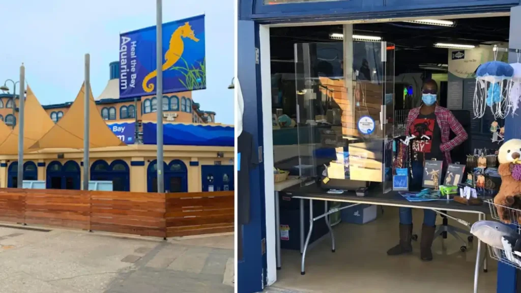 Heal the Bay Aquarium