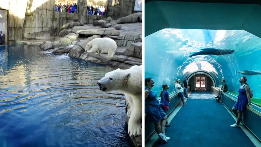Pittsburgh Zoo & PPG Aquarium