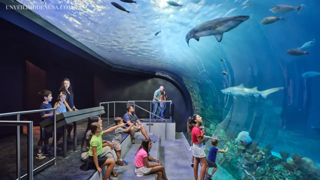 SEA LIFE Kansas City Aquarium