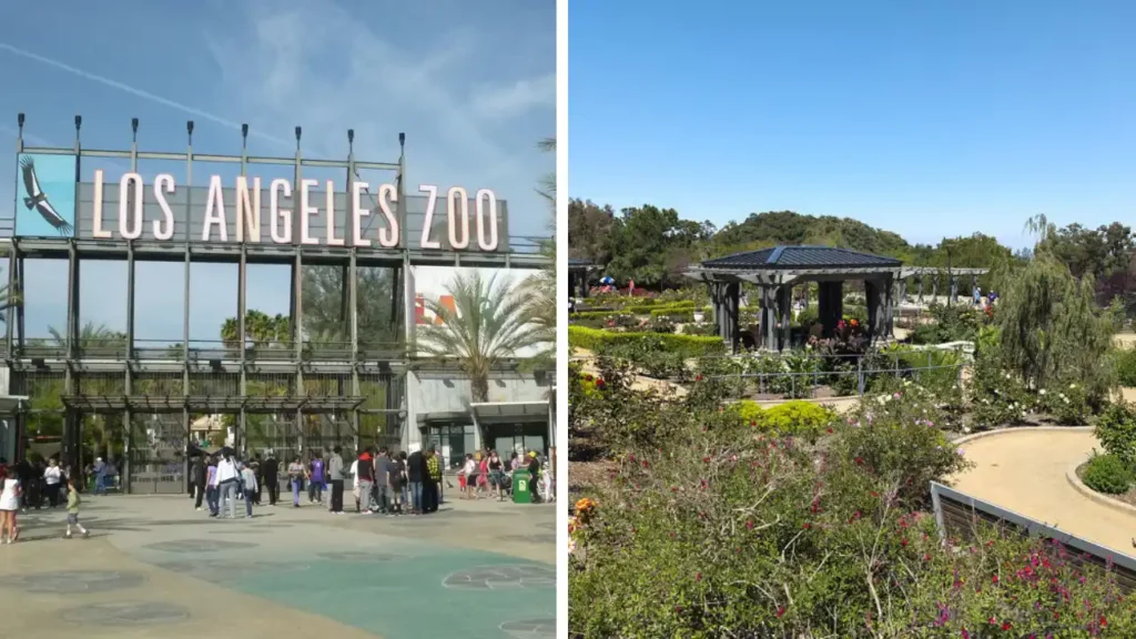 Spend the Day at the Los Angeles Zoo and Botanical Gardens