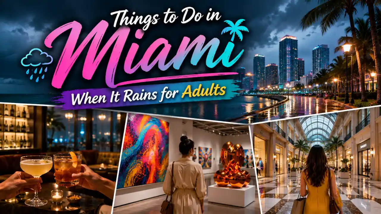 Things to Do in Miami When It Rains for Adults