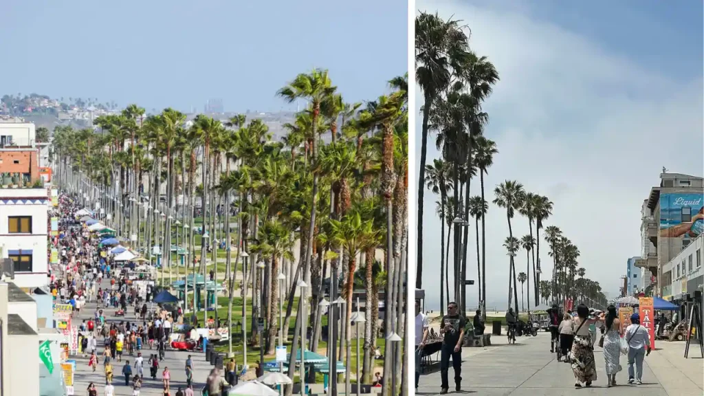 Venice Beach Boardwalk