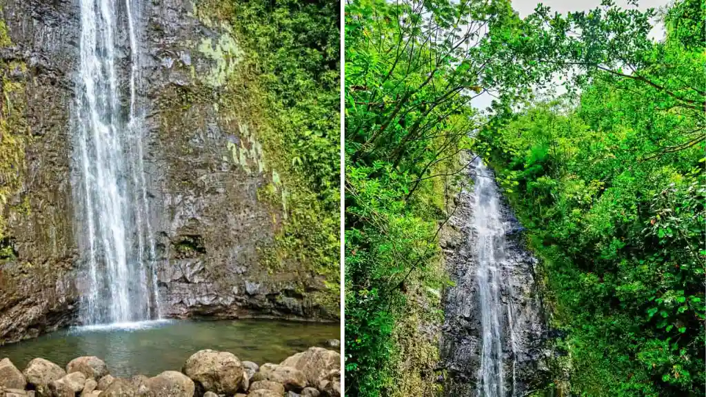 Chase Waterfalls at Manoa Falls Trail