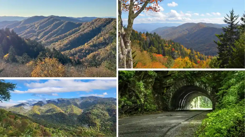 Drive Newfound Gap Road
