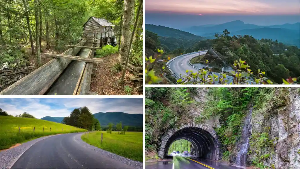 Drive the Cades Cove Loop