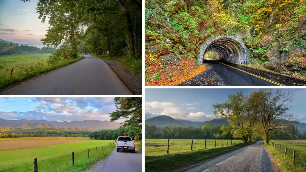 Drive the Cades Cove Loop