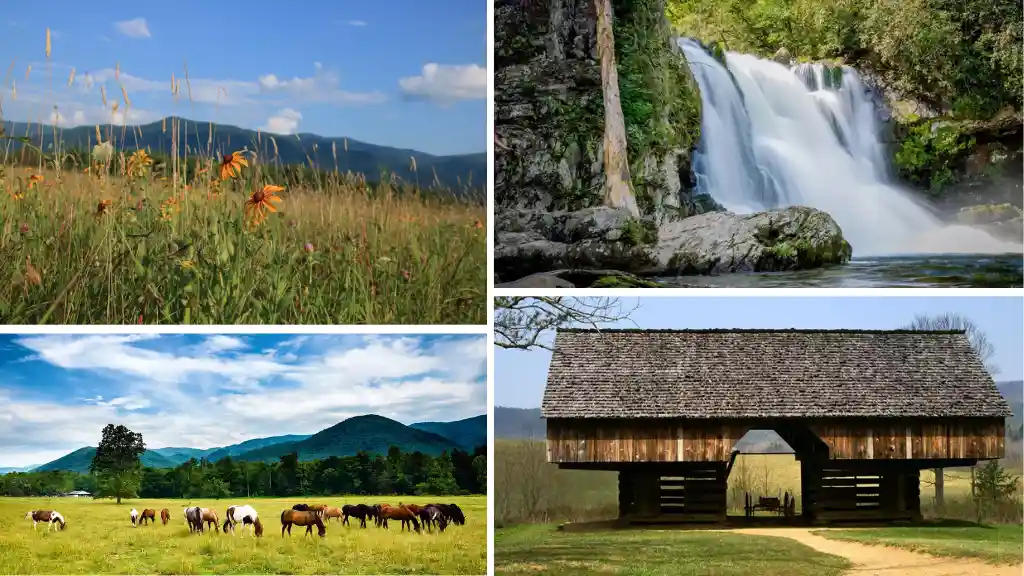 Explore Cades Cove History