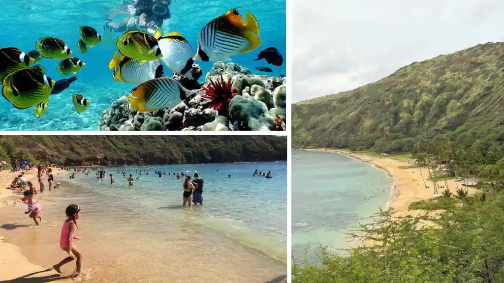 Hanauma Bay