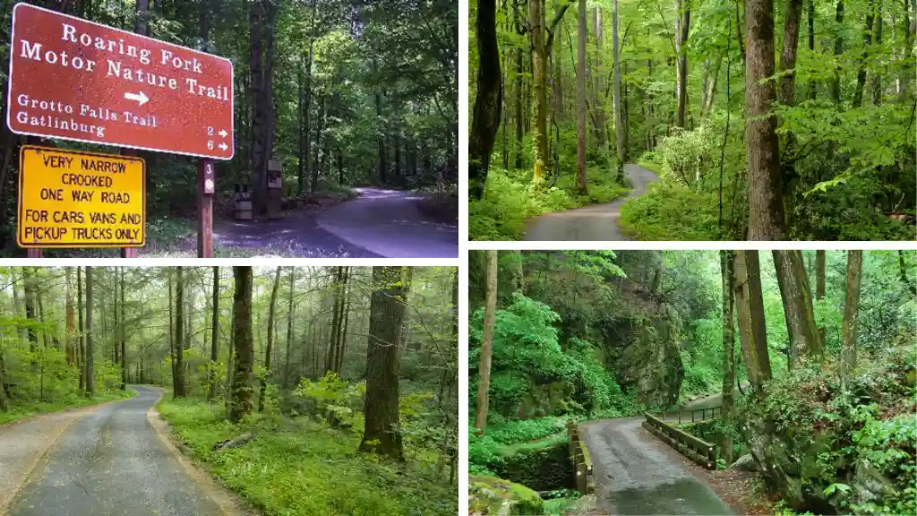 Roaring Fork Motor Nature Trail