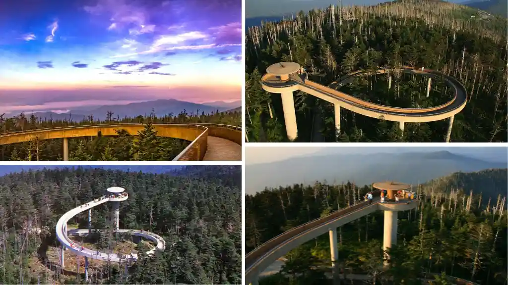 Summit Clingmans Dome