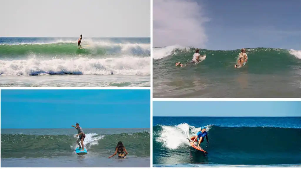 Surf Tamarindo