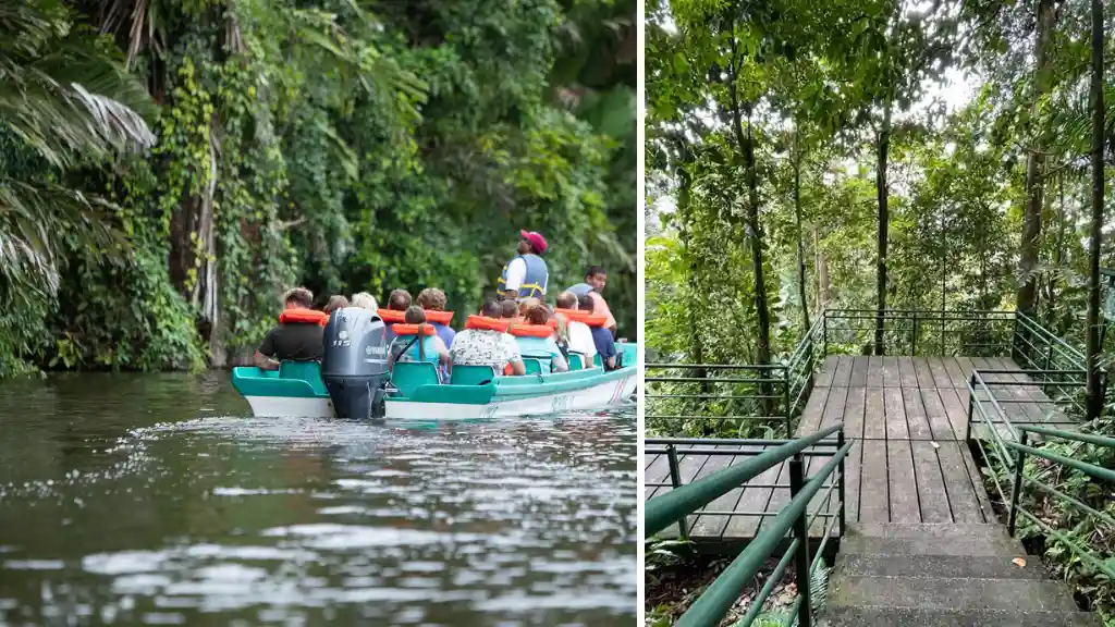 Tortuguero National Park