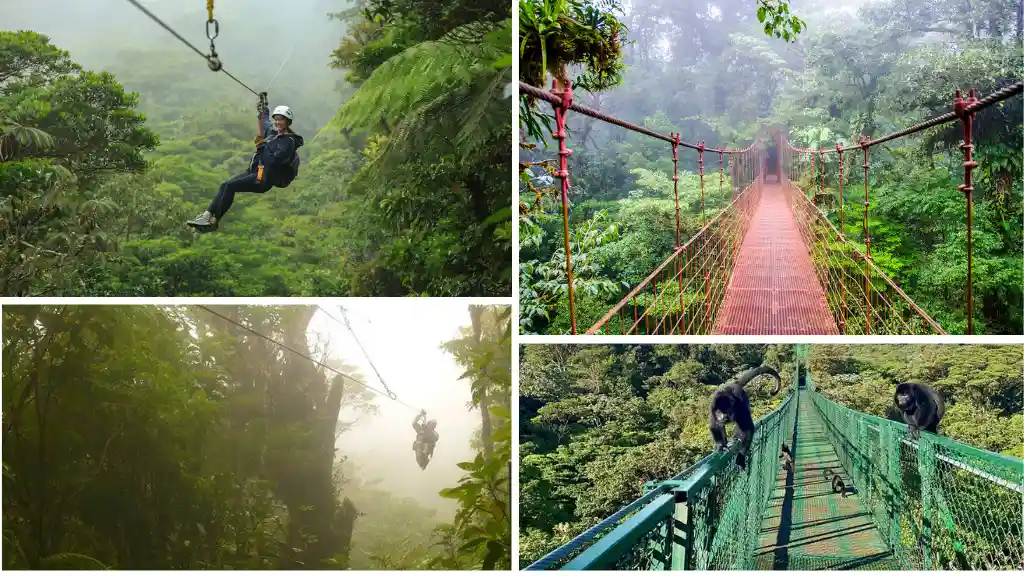 Zipline Through the Monteverde Cloud Forest